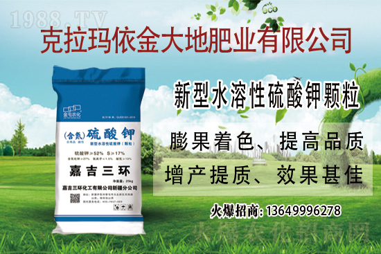 鉀肥市場保持堅(jiān)挺走勢!今日鉀肥價格走勢及交易日評