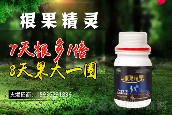 以色列戈蘭再續(xù)1988.TV,共謀合作新發(fā)展!