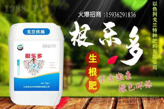 以色列戈蘭再續(xù)1988.TV,共謀合作新發(fā)展!