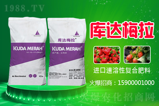 復(fù)合肥是跌還是漲?近期復(fù)合肥價格行情走勢(7月27日)