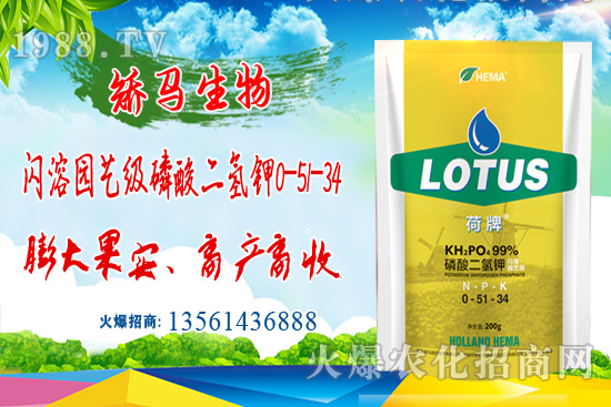 農(nóng)業(yè)農(nóng)村部油料專家指導組:芝麻抗災減災應急方案