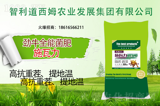 智利道西姆再簽1988.TV,開啟網(wǎng)絡(luò)招商新模式!