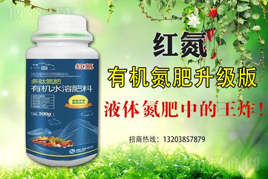 關(guān)于應(yīng)對臺風(fēng)暴雨加強(qiáng)在田蔬菜管理的技術(shù)指導(dǎo)意見