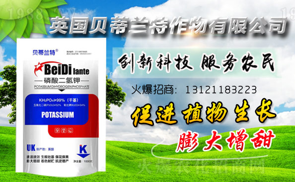 Ӣؐmٺ1988.TV\pA