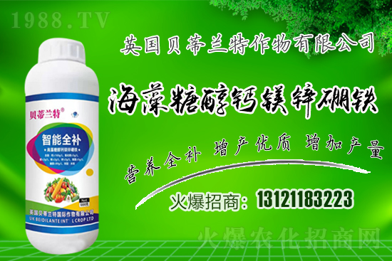 Ӣؐmٺ1988.TV\pA