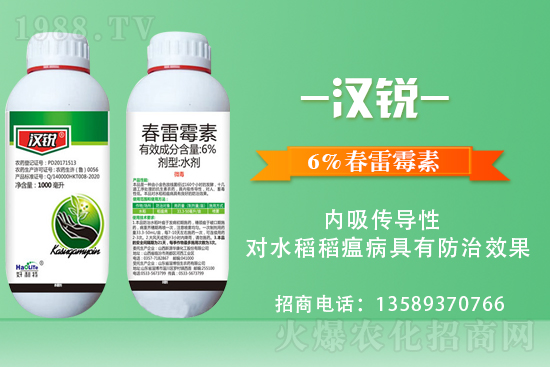 合作共謀新發(fā)展,青島好利特再次簽約1988.TV!