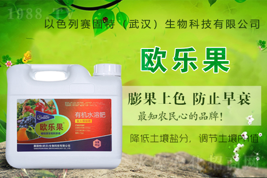 ɫِٶȔy1988.TVyֹ(chung)(zhn)ل(chung)x