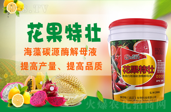 ɫِٶȔy1988.TVyֹ(chung)(zhn)ل(chung)x