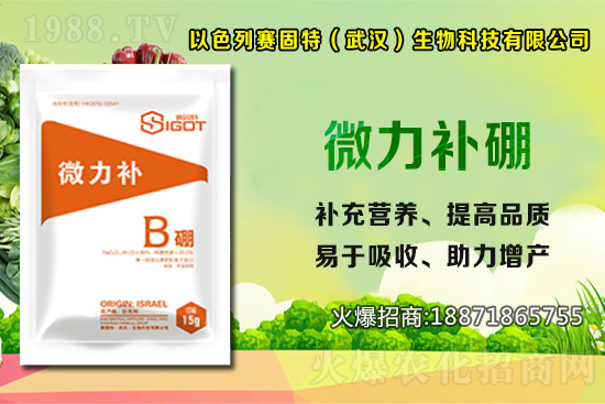 ɫِٶȔy1988.TVyֹ(chung)(zhn)ل(chung)x