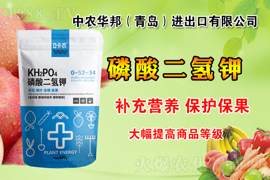 r(nng)W(wng)ϲӭr(nng)A(qing)(sh)(li)u