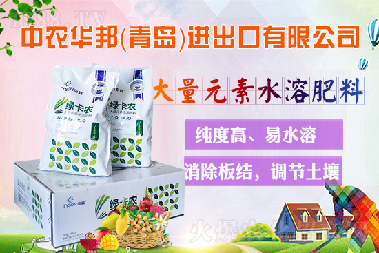 r(nng)W(wng)ϲӭѣr(nng)A(qing)(sh)(li)u