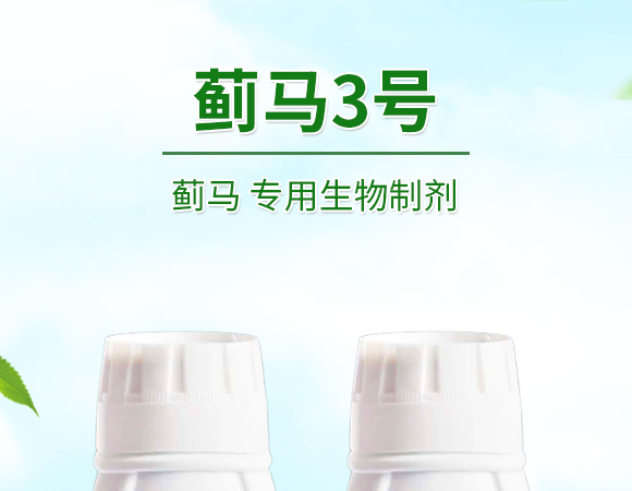 ERƄ-E3̖(ho)-S_01