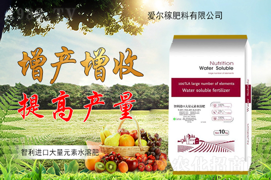 P(gun)ϵA۠ڷٺ1988.TV(chung)x