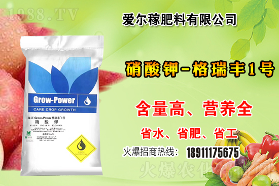 P(gun)ϵA۠ڷٺ1988.TV(chung)x