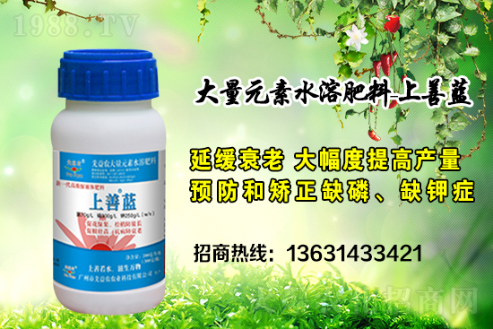 廣州市先益農再度攜手1988.TV,攜手共創(chuàng)新戰(zhàn)績!