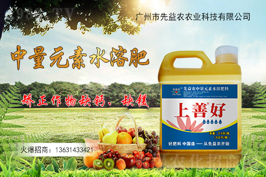 廣州市先益農再度攜手1988.TV,攜手共創(chuàng)新戰(zhàn)績!