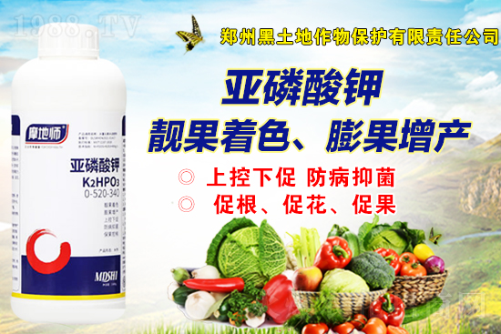 202191Շ(ni)@r(ji)߄(sh)