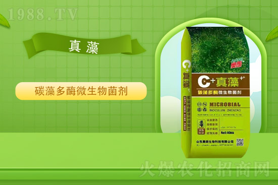 Ȼ⛃rƽ(wn)202192Շ(ni)⛷ʃr߄