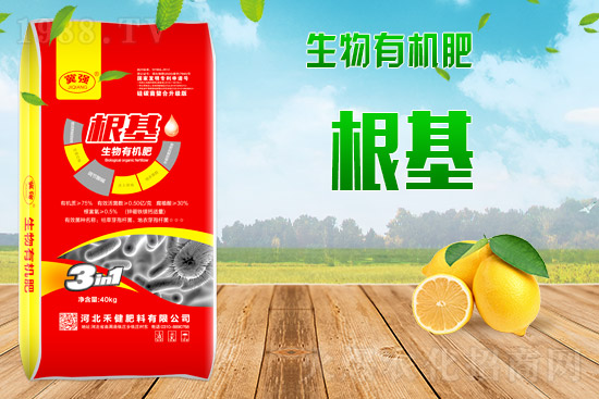 復(fù)合肥出廠報(bào)價(jià),2021年9月2日復(fù)合肥價(jià)格日?qǐng)?bào)