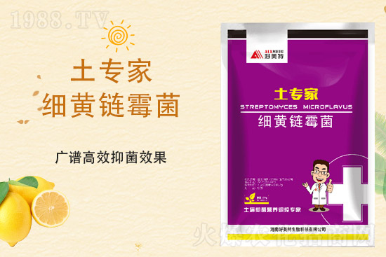 һ@(wn)2021923@r(ji)߄(sh)