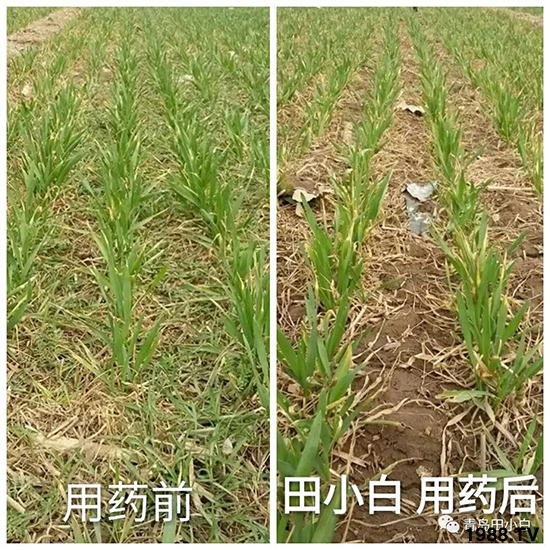 Сsݣ(ji)(ji)Eɞ(zi)ôkС݄ôx