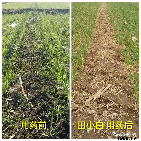 Сs(ji)(ji)Eɞ(zi)ôkС݄ôx