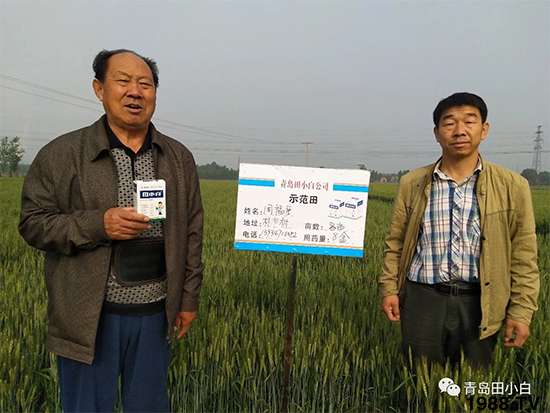 Сs(ji)(ji)Eɞ(zi)ôkС݄ôx