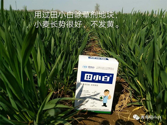 Сsݣ(ji)(ji)Eɞ(zi)ôkС݄ôx