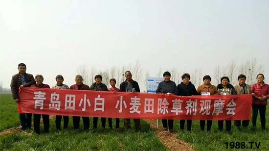 Сs(ji)(ji)Eɞ(zi)ôkС݄ôx