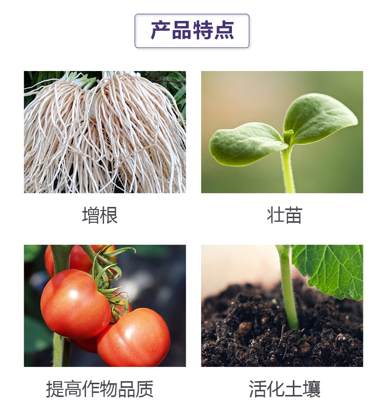 格蘭富品牌畫(huà)冊(cè)_03