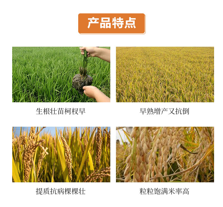 C-_Users_1988_Desktop_山西中農化生物技術股份有限公司_03