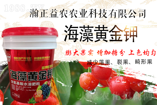 r(nng)ףтI(y)ϣµһչD