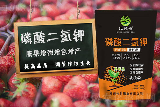 ƷʘI(y)ףȫ(gu)µһࡢqqƽ