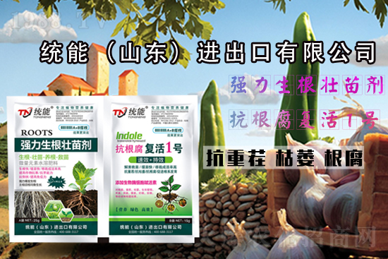 【山東統(tǒng)能】祝一路走來(lái)的朋友們虎年大吉,福運(yùn)無(wú)疆!