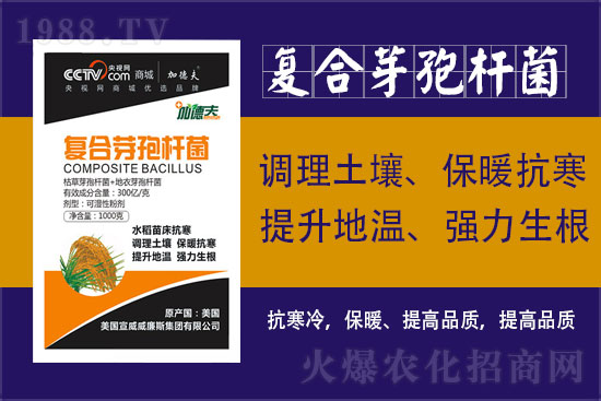 ɭءףȫ옷󼪴\