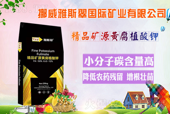 Ų˹䡿ףV(jng)N2022껢󼪣HҚg(ji)옷