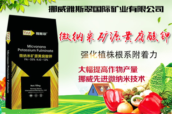 Ų˹䡿ףV(jng)N2022껢󼪣HҚg(ji)옷