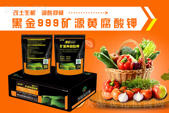 【青島大鑫農(nóng)】祝大家新的一年,愿與你再揚(yáng)帆濟(jì)海,開創(chuàng)事業(yè)的艷陽(yáng)天!