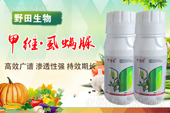 ҰoҰףI(y)t옷2022\BB