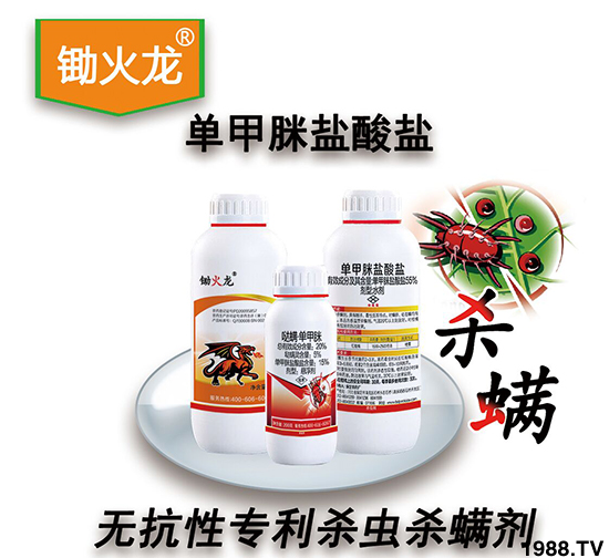 r(nng)ˎSףVтؔ\LL옷f