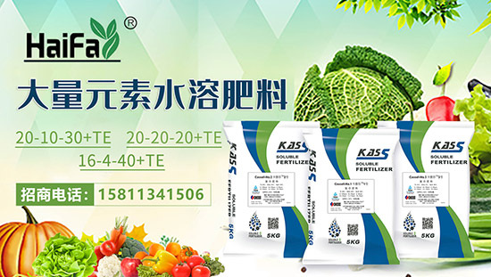 ɫкQ(mo)ףr(nng)Y(jng)Nт2022옷ϲl(f)ؔ