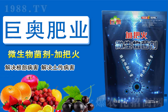 【巨奧肥業(yè)】祝大家在新的一年虎虎生威,笑口常開,財源廣進(jìn)!