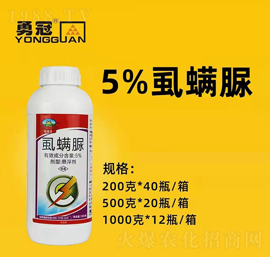 ¹چ̵ϡȫwTף2022I(y)vw