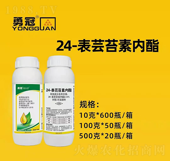 ¹چ̵ϡȫwTף2022I(y)vw󼪣