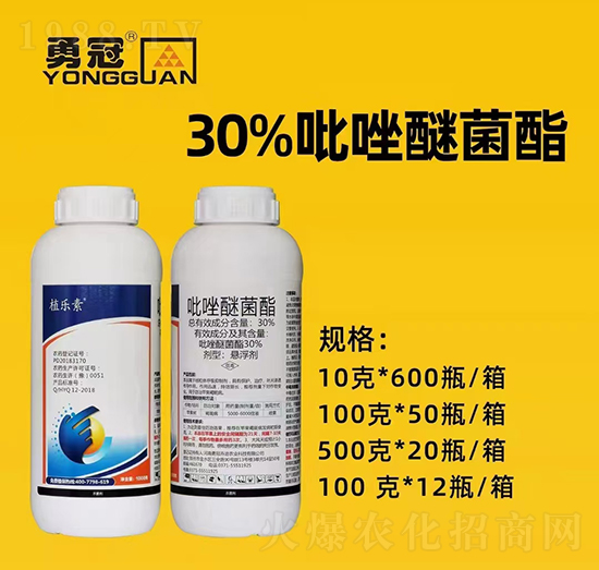 ¹چ̵ϡȫwTף2022I(y)vw󼪣