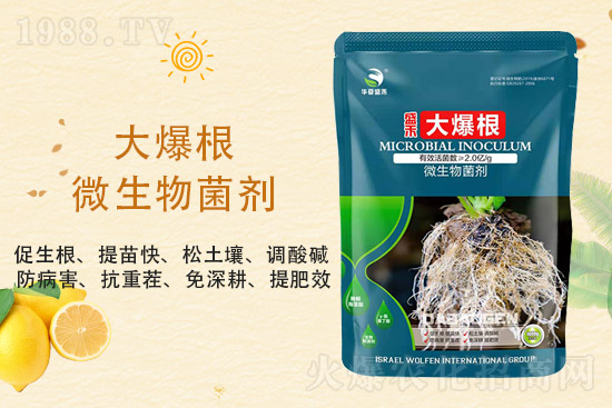 Aʢ̡ףr(nng)Y(jng)Nт2022옷fϲl(f)ؔ