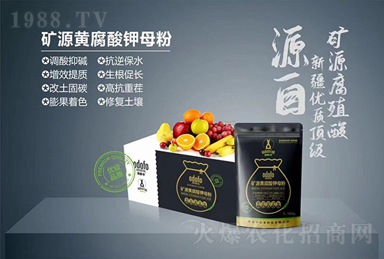 ĶSrI(y)ף2022옷꼪֥_(ji)(ji)