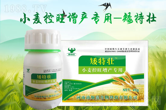 ˹oҰף2022껢󼪣HҚg(ji)옷