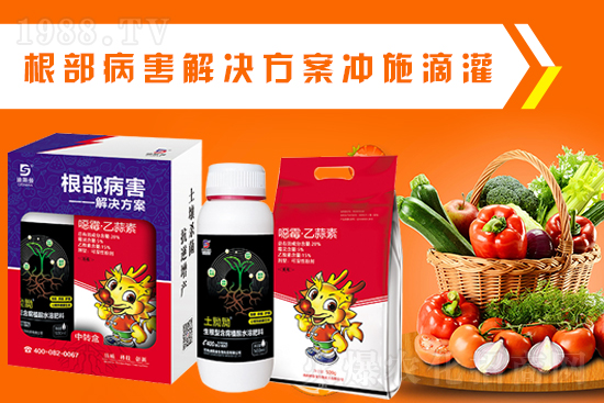 ˹oҰף2022껢󼪣HҚg(ji)옷