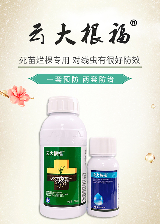 ̖r(nng)I(y)ף옷wfI(y)г